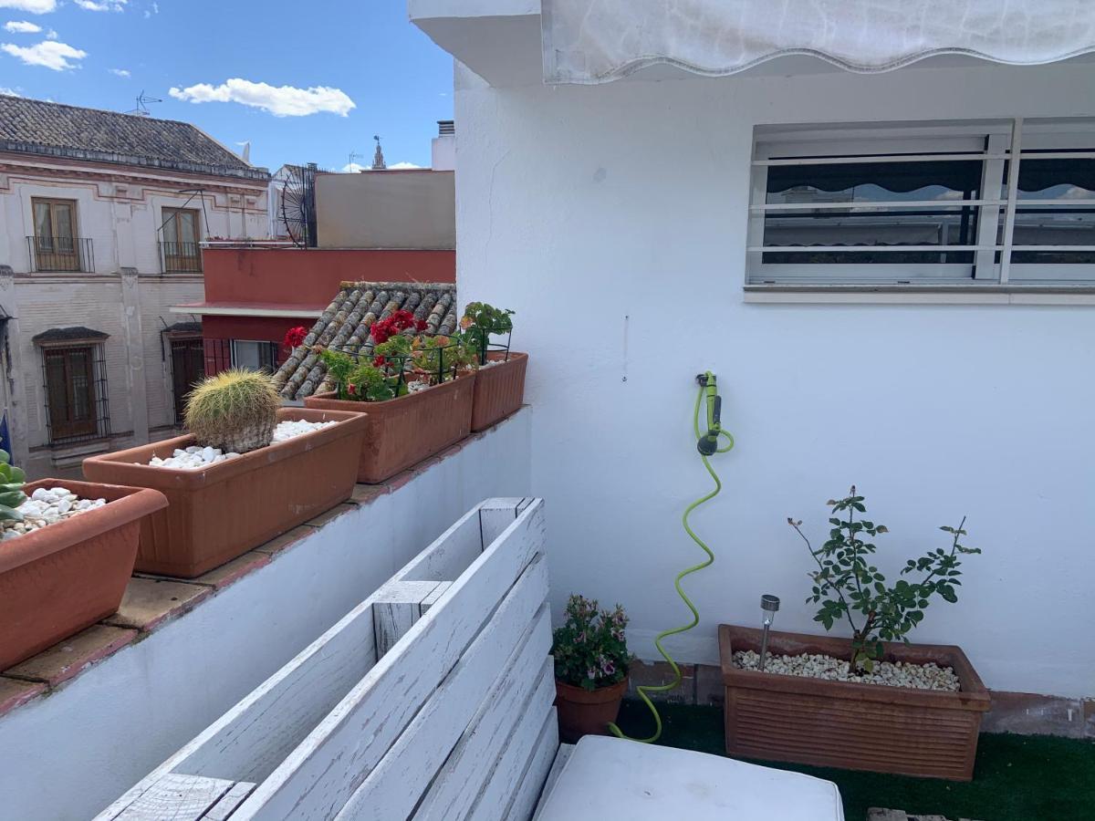Lr2 Private Terrace & Parking Right In The City Center — Photos 1